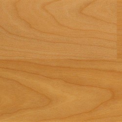 Indian Cherry