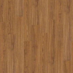 Mountain Oak