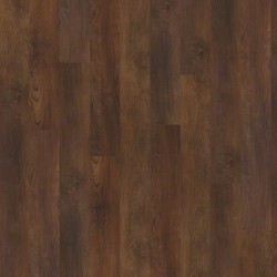 Warm Chestnut