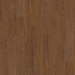 Golden Hickory