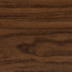 Black Walnut