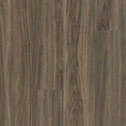Cinnamon Walnut