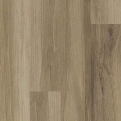 Almond Oak
