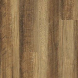 Tawny Oak