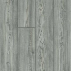 Paragon 7" Plus - Fresh Pine