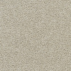 Vista III - Wheat Grass