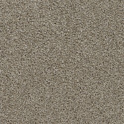 Rich Walnut