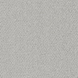 Nautilus color swatch