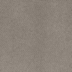 Sahara