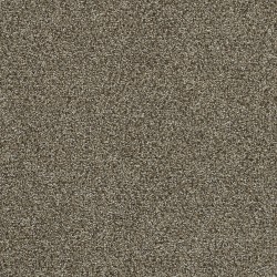 Homecoming III - Dark Truffle