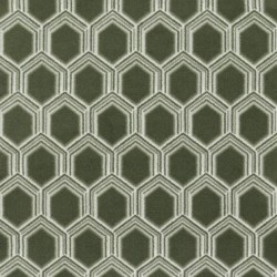 Moss