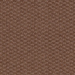 Starcrest - Allspice