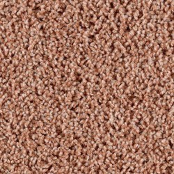 Terra Cotta