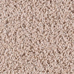 Mojave Tan