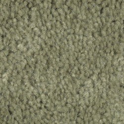 Solo - Apple Green