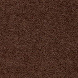 Dark Roast