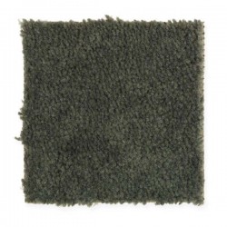 Oregano