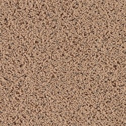 Cedar Chips