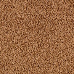 Fired Clay