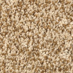 Golden Wheat