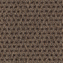 Brown Tones
