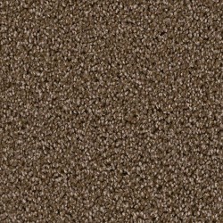 Black Walnut