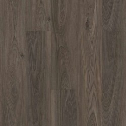 Dark Elm