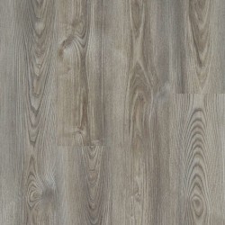 Grey Chestnut