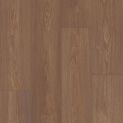 Prodigy HDR MXL Plus - Sable