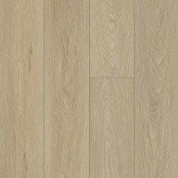 Timeless Oak