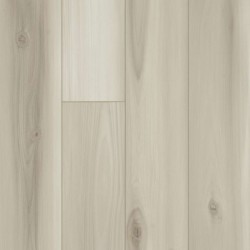Dutch Oak