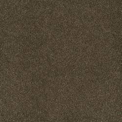 Black Walnut