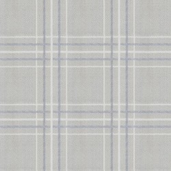 Mist color swatch
