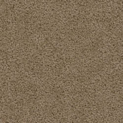 Honey Beige