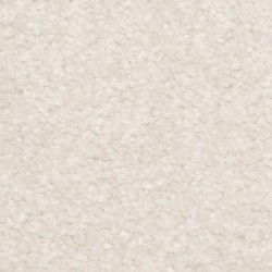 Calluna