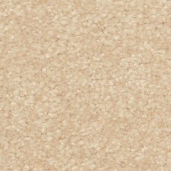 Sesame Seed