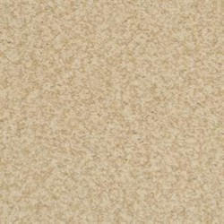 Innovations - Birch