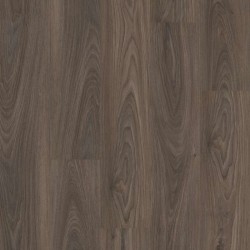 Dark Elm