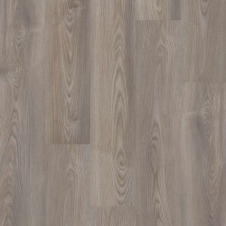 Grey Chestnut