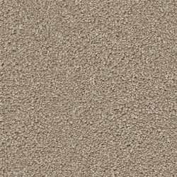 Cashew color swatch