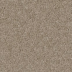 Mushroom color swatch
