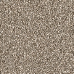 Acorn color swatch