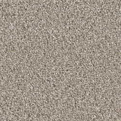 Ash color swatch