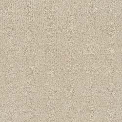 Classic Ivory