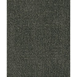 Rich Titanium