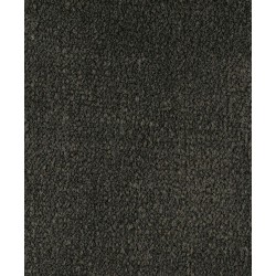 Charred Wood