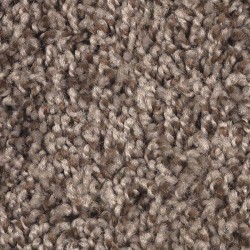 Taupe Treasure