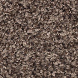 Walnut Shell