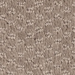 Taupe Treasure