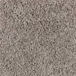 Tawny Taupe